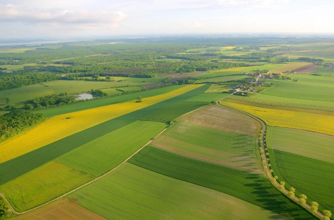Межевание земельного участка